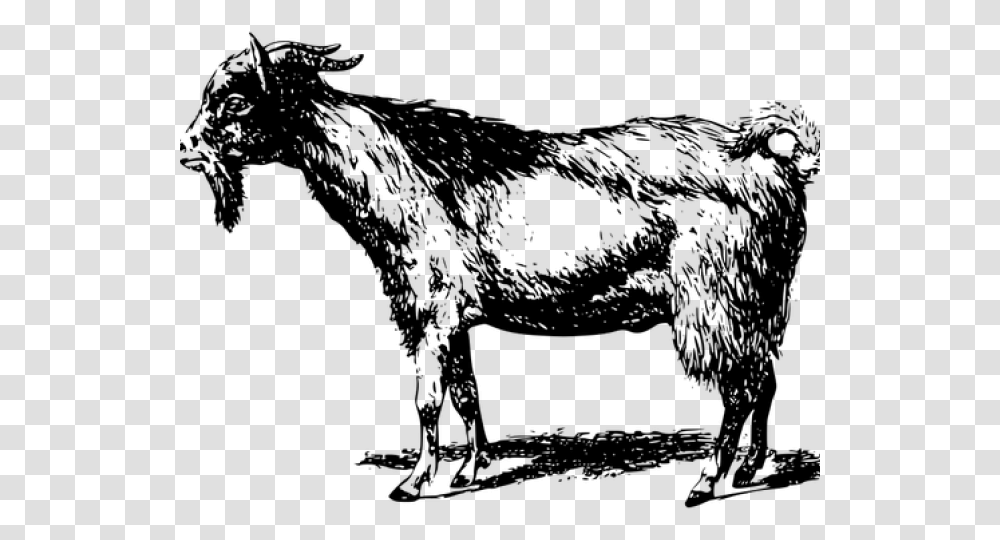 Detail Kambing Png Vector Nomer 45