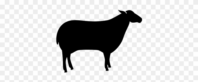 Detail Kambing Png Vector Nomer 46