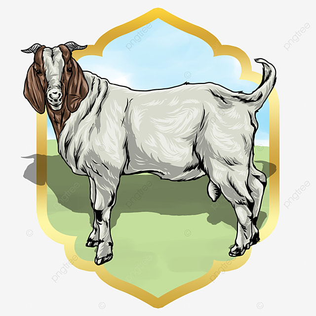 Detail Kambing Sapi Png Nomer 25