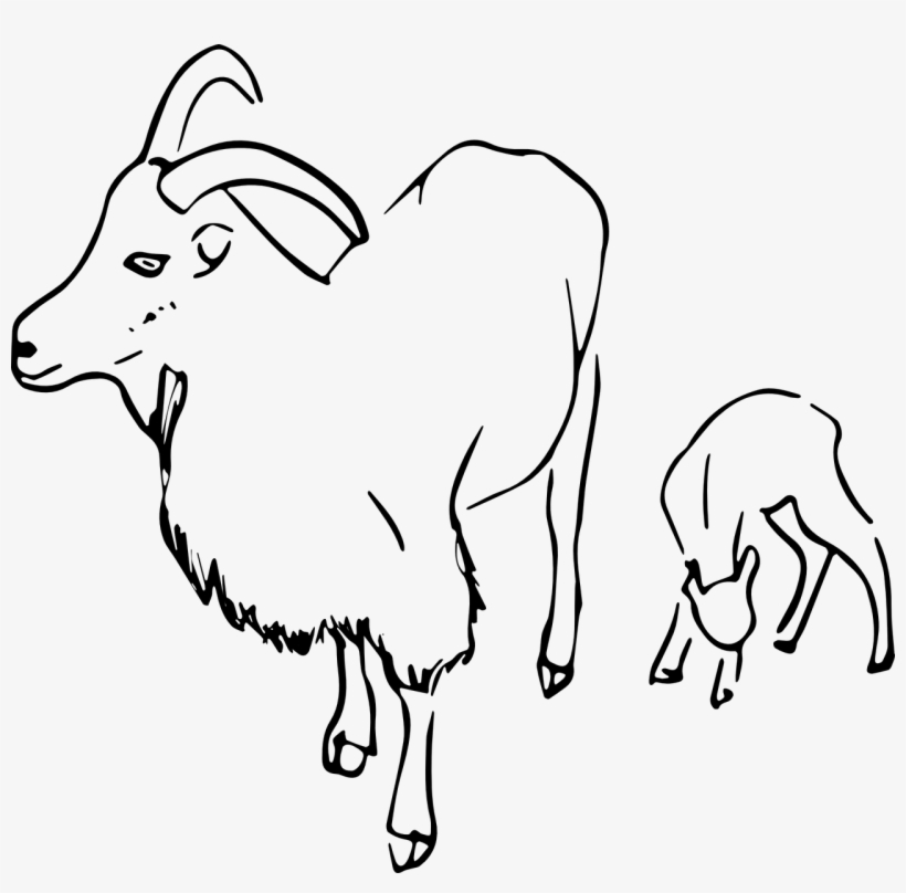 Detail Kambing Vector Png Nomer 32