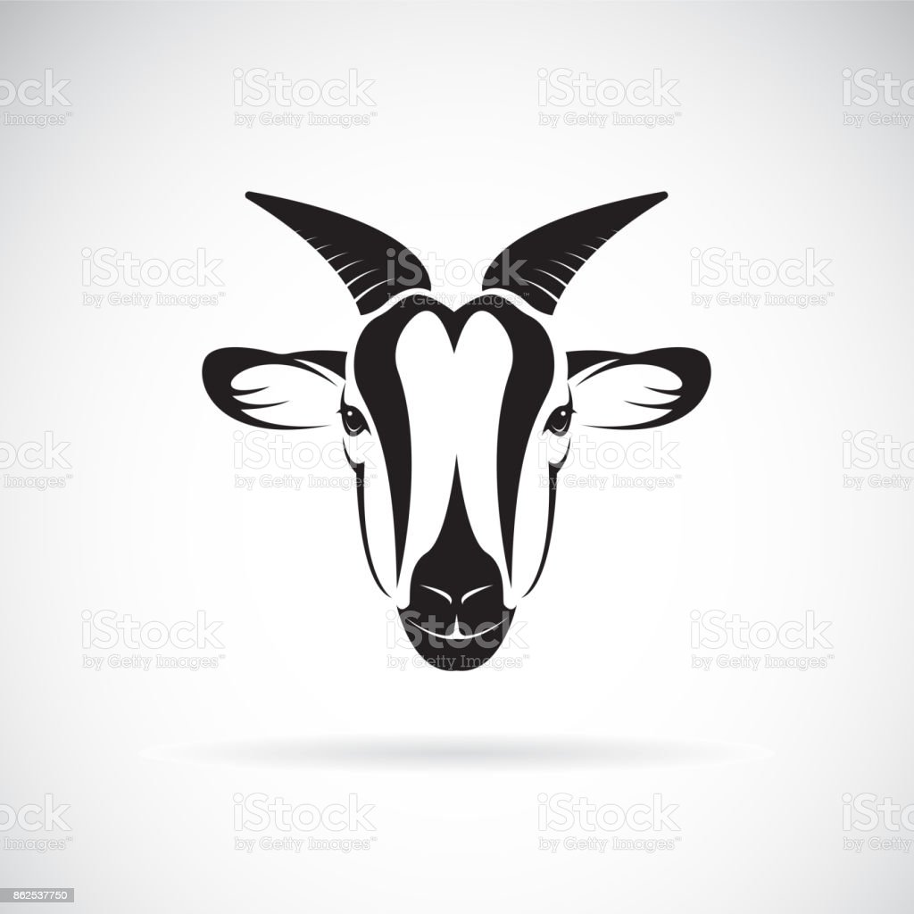 Detail Kambing Vector Png Nomer 57