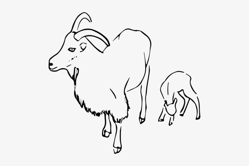Detail Kambing Vector Png Nomer 8