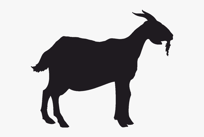 Detail Kambing Vector Png Nomer 10