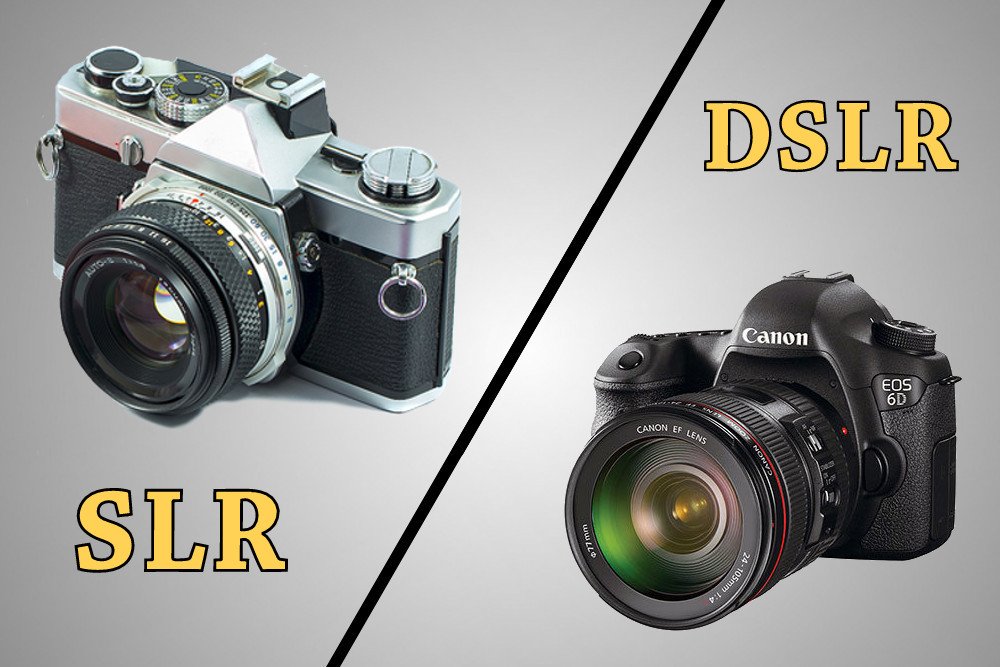 Detail Kamera Slr Dan Dslr Nomer 2