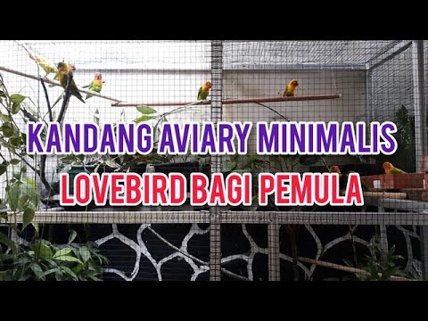 Kandang Aviary Lovebird - KibrisPDR