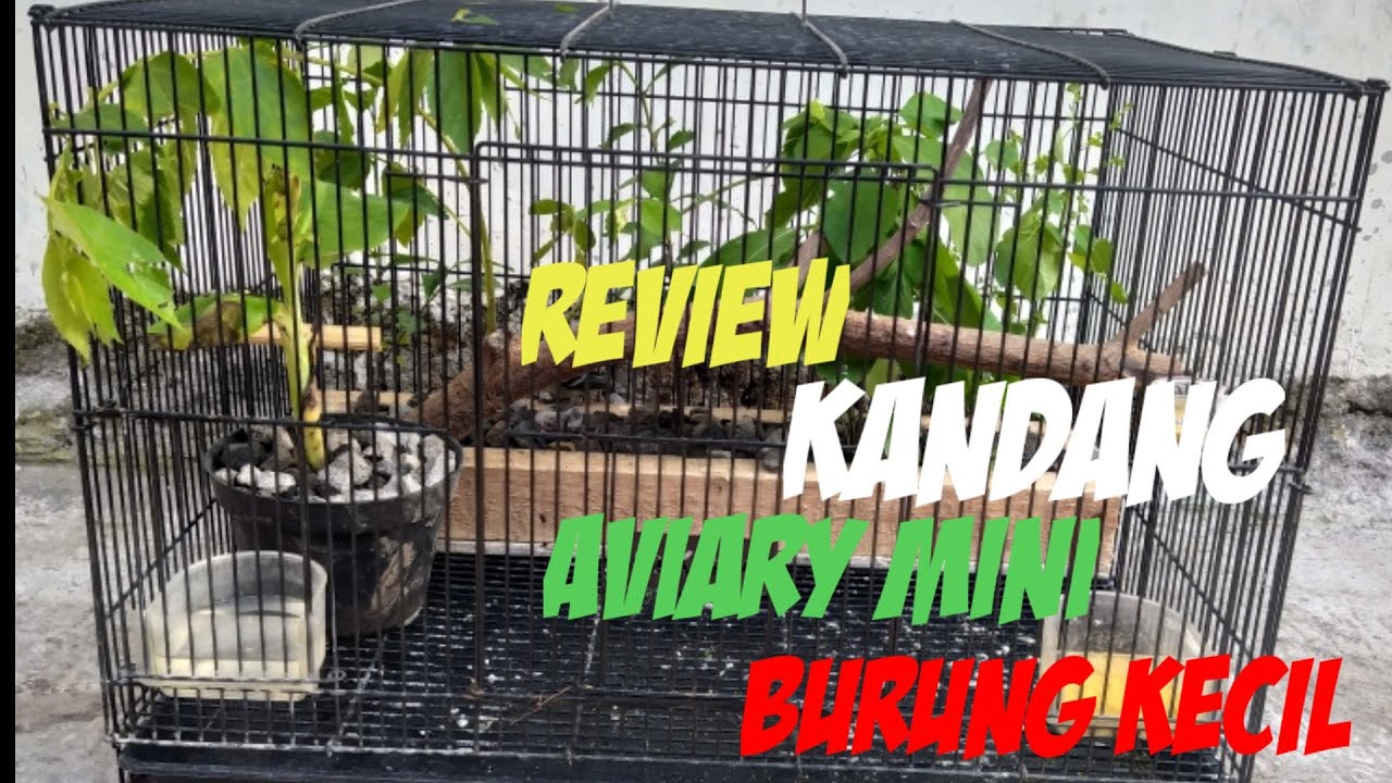 Detail Kandang Aviary Lovebird Nomer 33