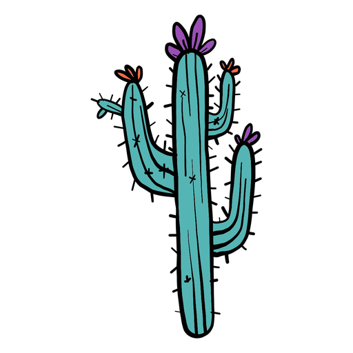 Detail Cactus Winkel Nomer 2