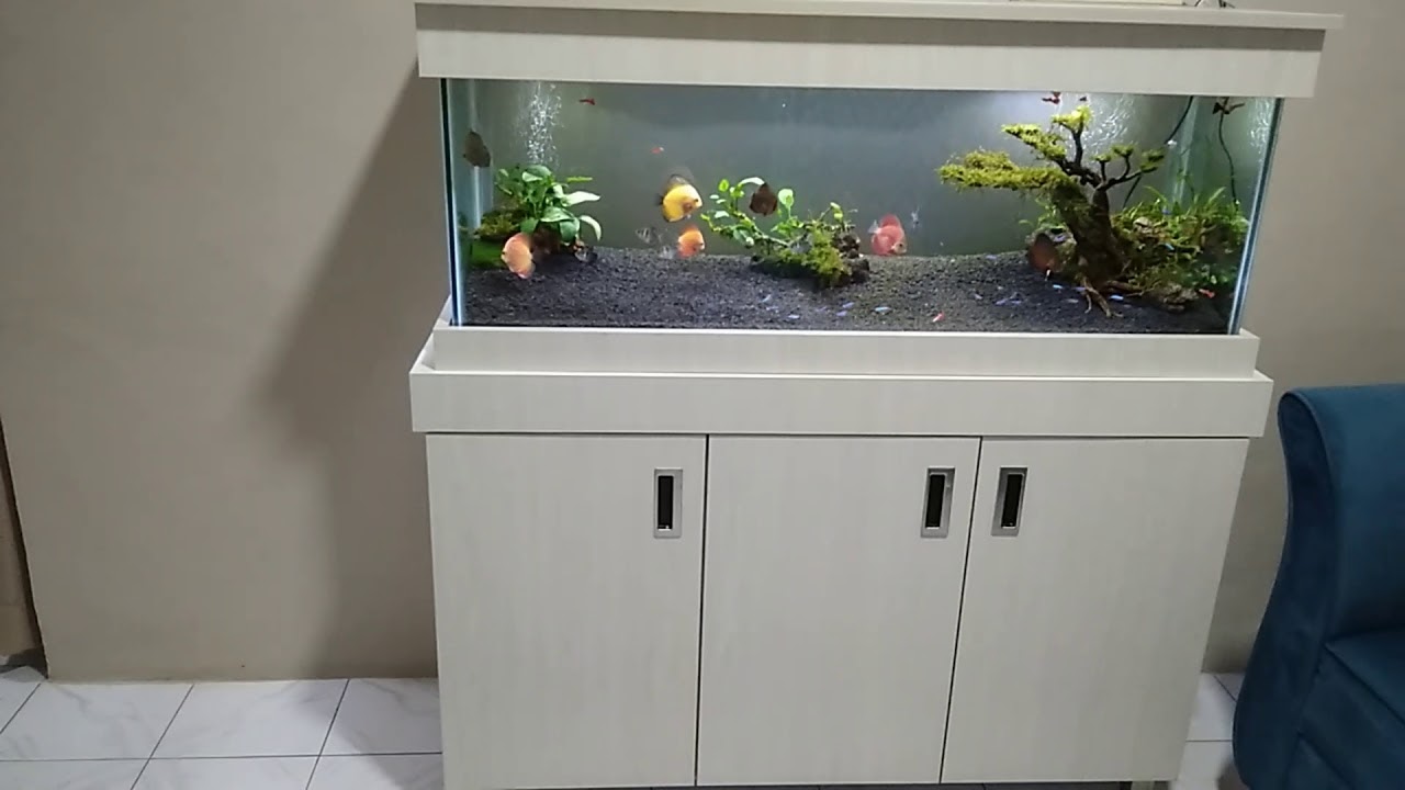 Desain Meja Aquarium Minimalis - KibrisPDR