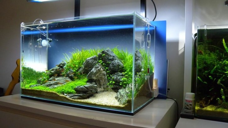 Detail Desain Meja Aquarium Minimalis Nomer 2