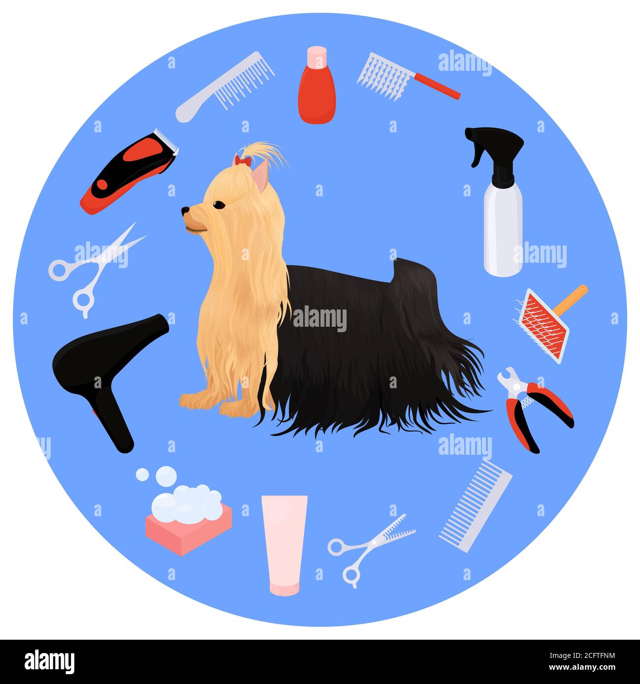 Detail Fox Terrier Grooming Pictures Nomer 19