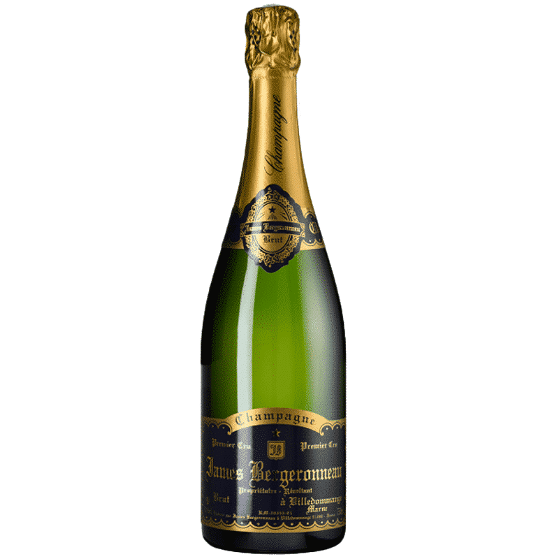 Detail Goldene Champagnerflasche Nomer 26