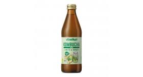 Detail Kombucha Limette Ingwer Nomer 2