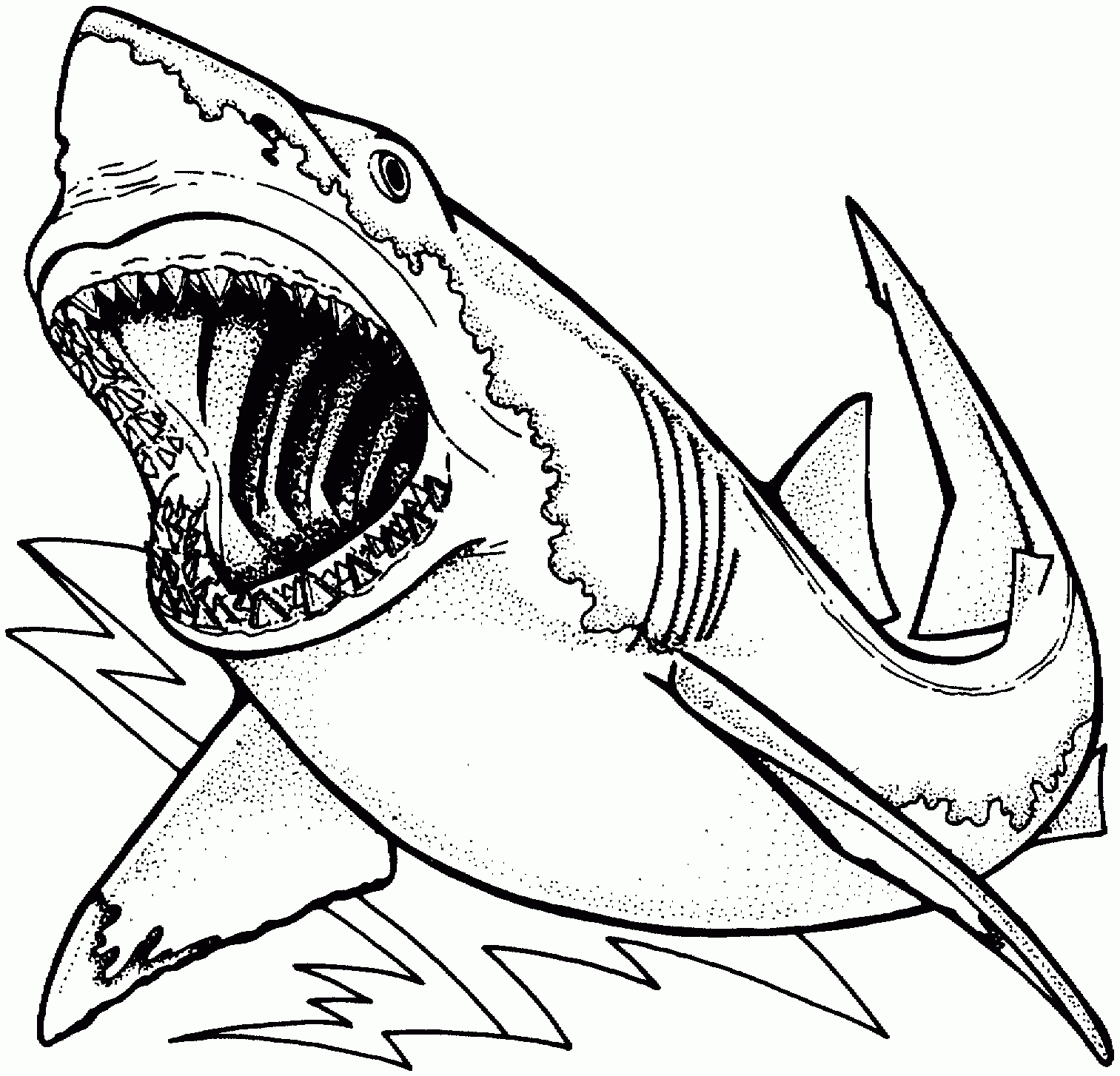 Detail Megalodon Ausmalbild Nomer 3