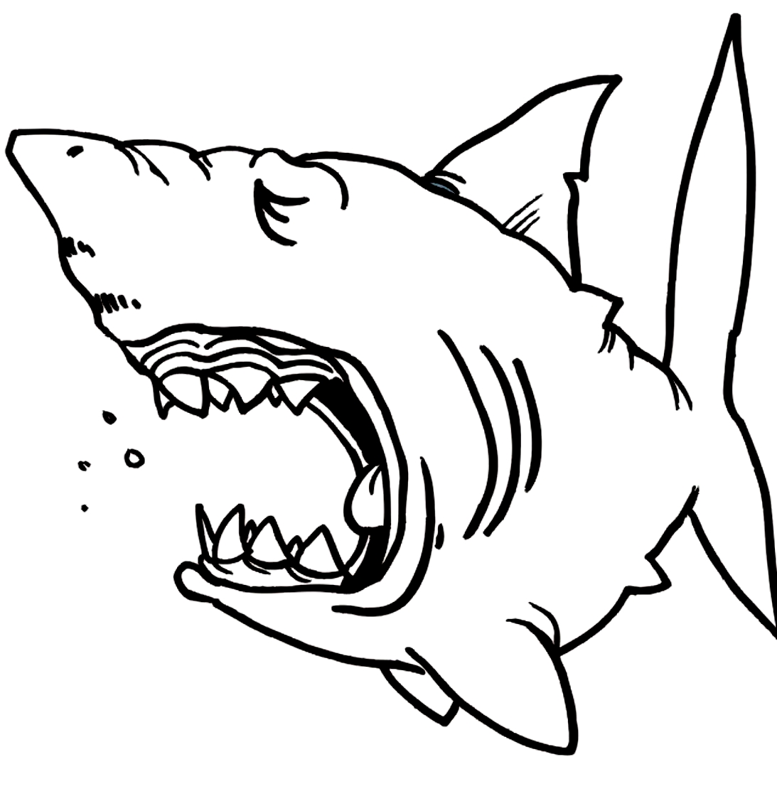 Detail Megalodon Ausmalbild Nomer 5