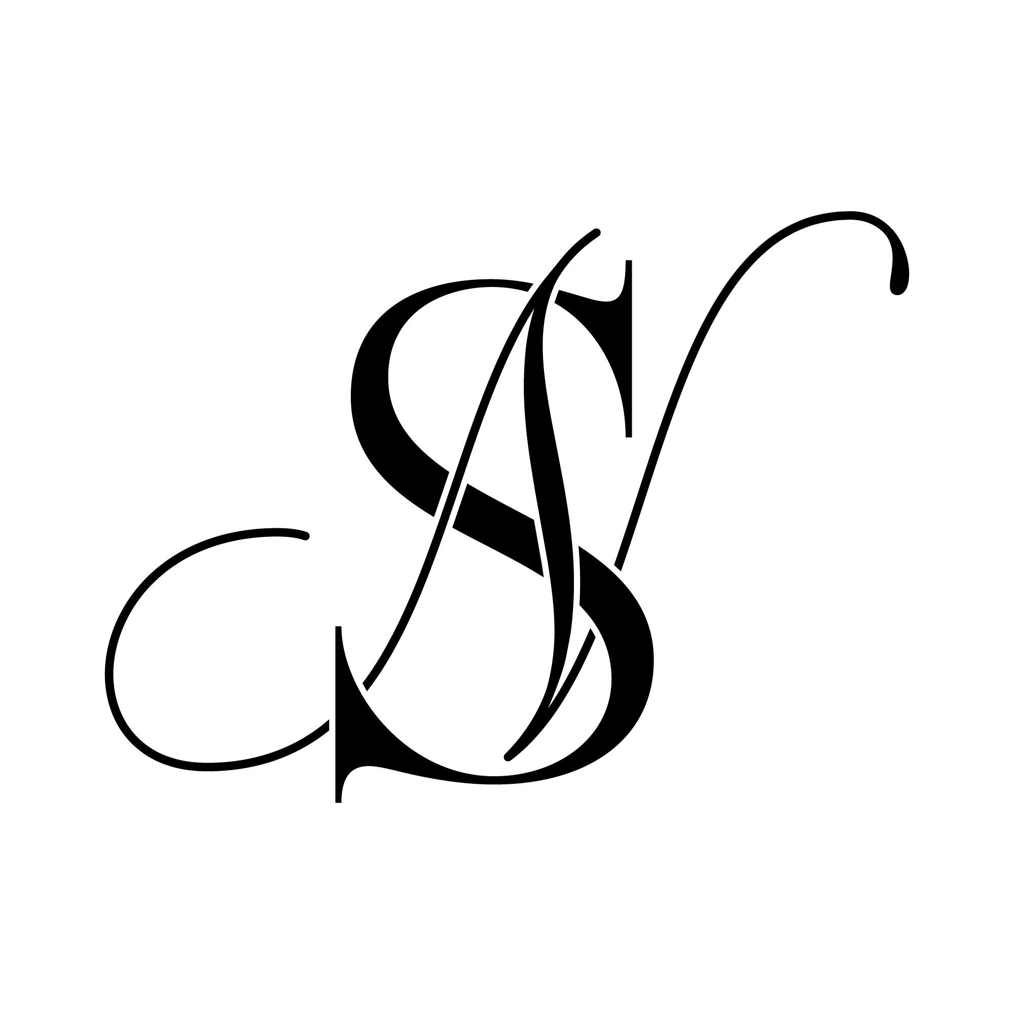 Detail Ns Logo Nomer 19