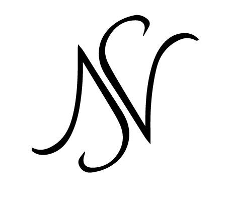 Detail Ns Logo Nomer 21