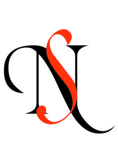 Detail Ns Logo Nomer 5
