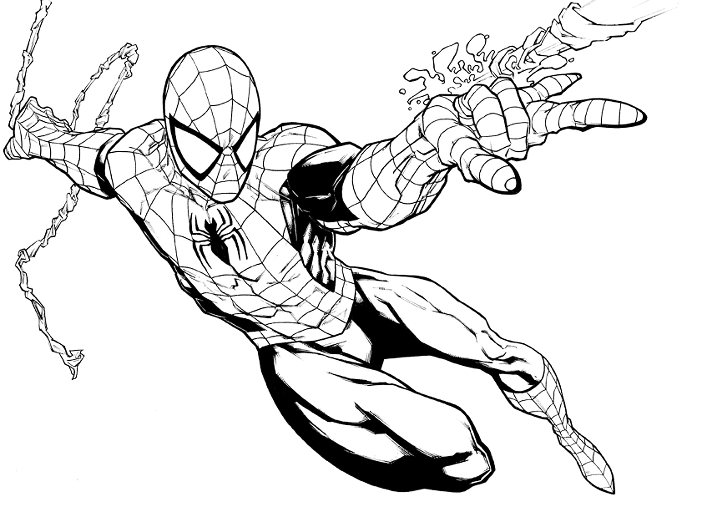 Detail Spiderman Netz Nomer 28