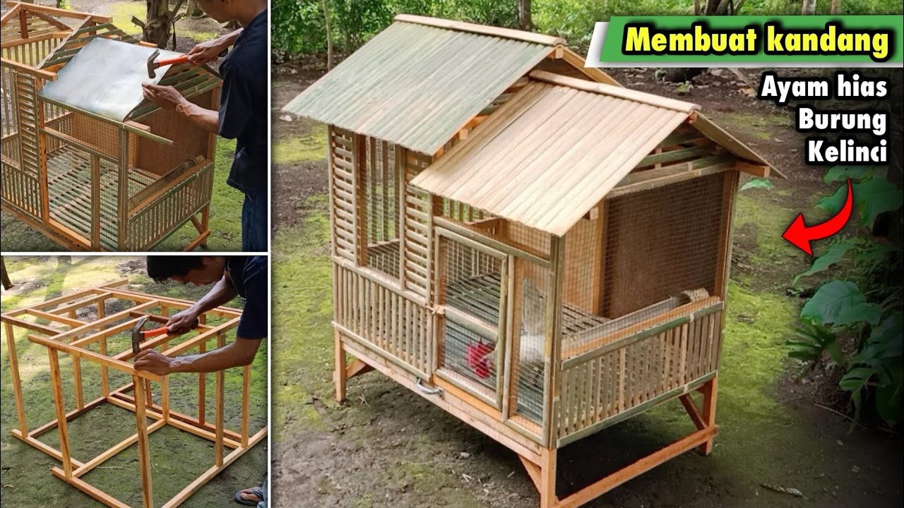 Detail Kandang Ayam Hias Depan Rumah Nomer 3