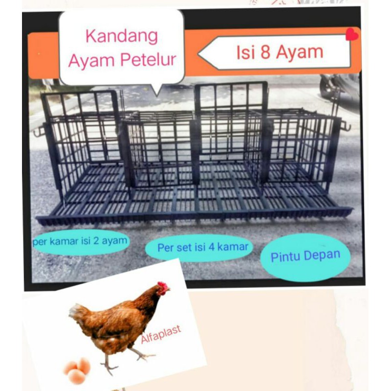 Detail Kandang Ayam Hias Depan Rumah Nomer 54