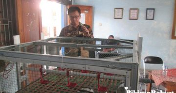 Detail Kandang Baterai Ayam Broiler Nomer 12