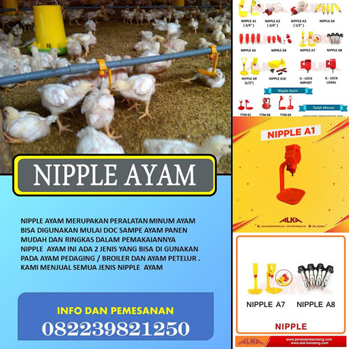 Detail Kandang Baterai Ayam Broiler Nomer 46