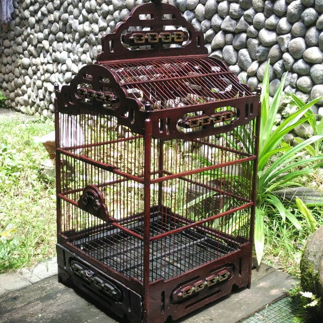 Detail Kandang Burung Dari Kayu Nomer 26