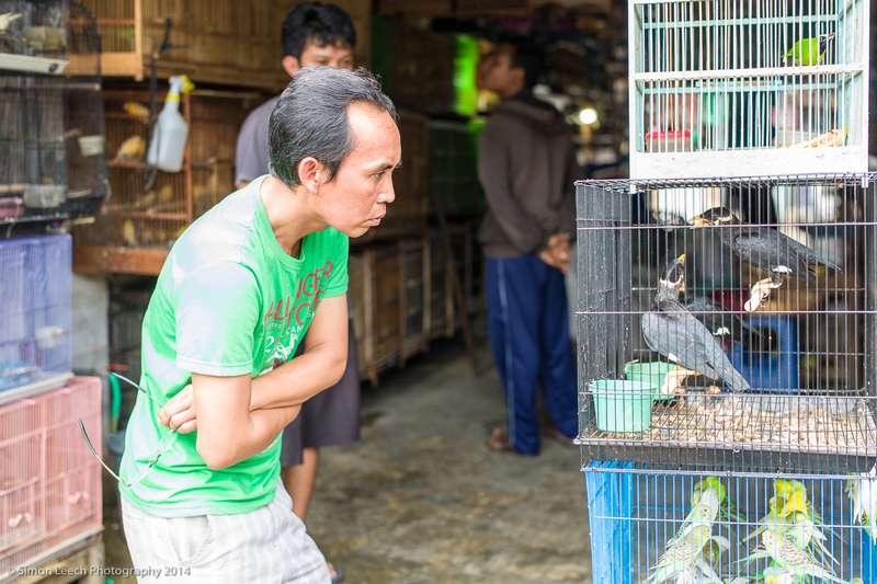 Detail Kandang Burung Di Dalam Rumah Nomer 55