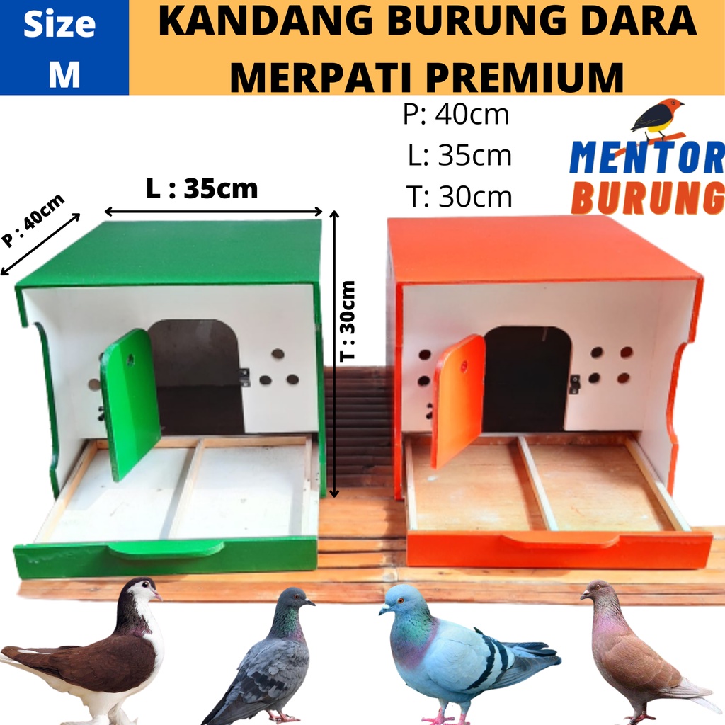 Detail Kandang Burung Merpati Nomer 33