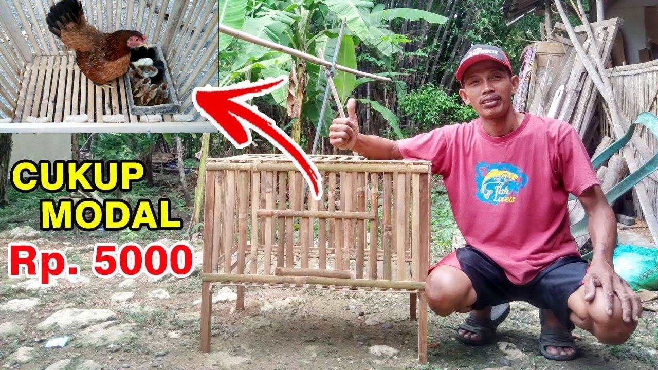 Detail Kandang Merpati Sederhana Dari Bambu Nomer 3