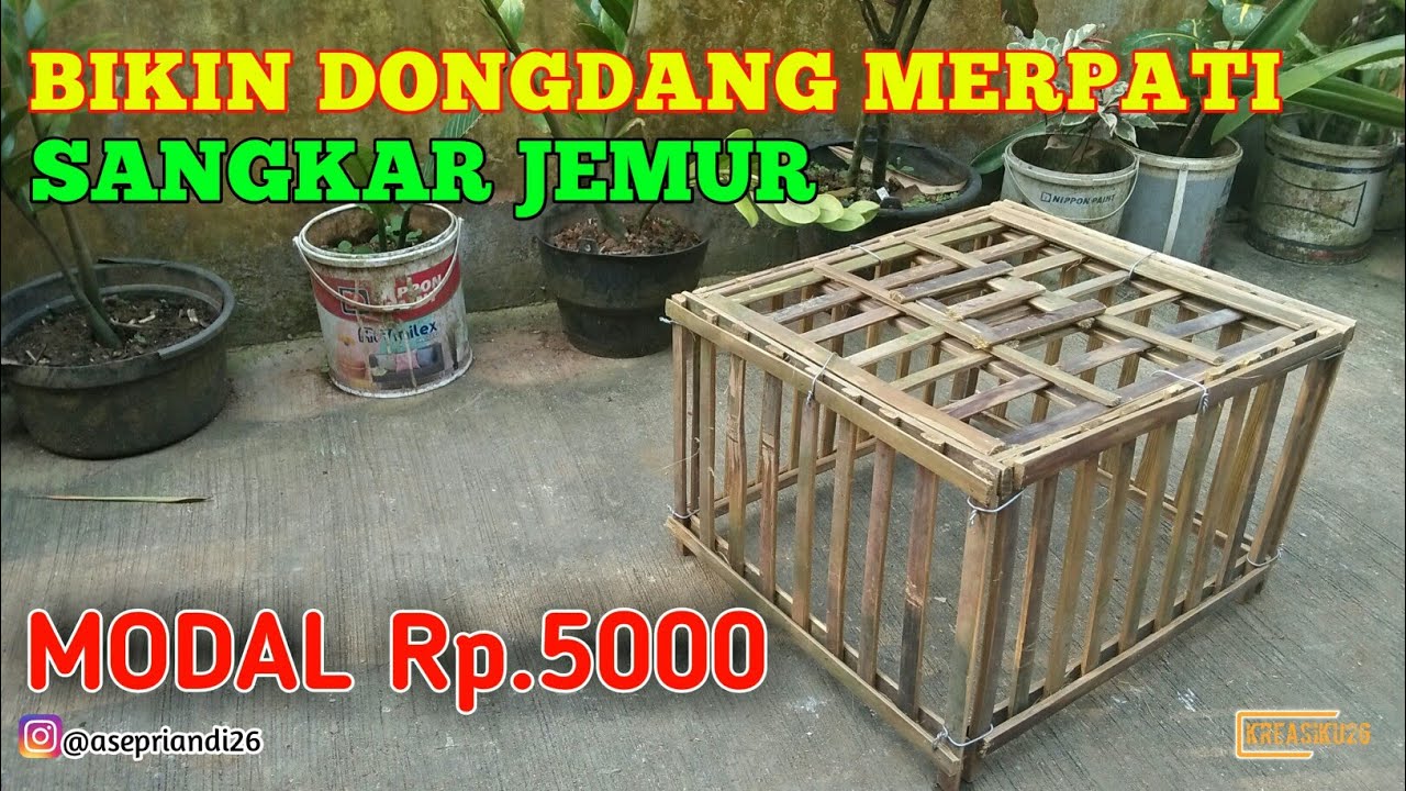 Detail Kandang Merpati Sederhana Dari Bambu Nomer 9