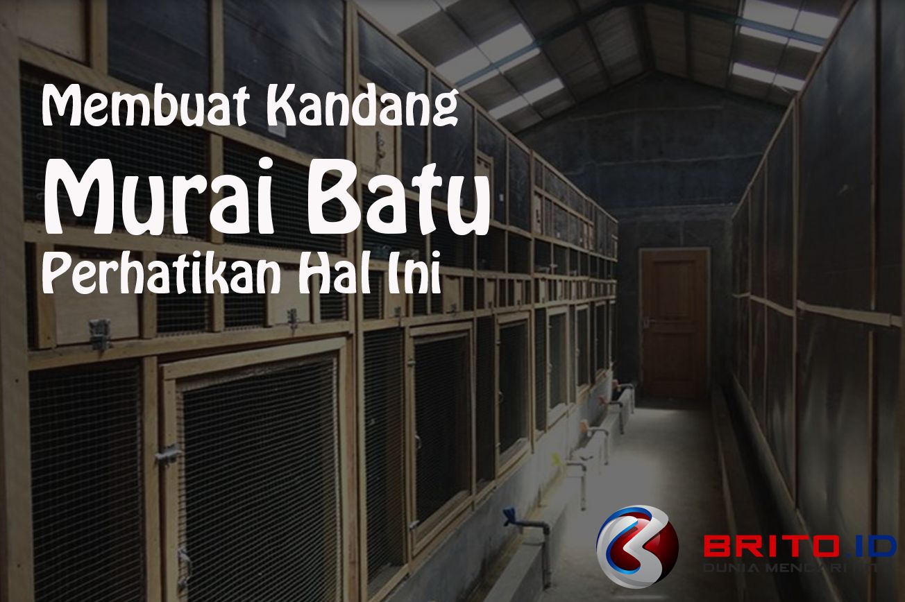 Detail Kandang Ternak Murai Dalam Rumah Nomer 28