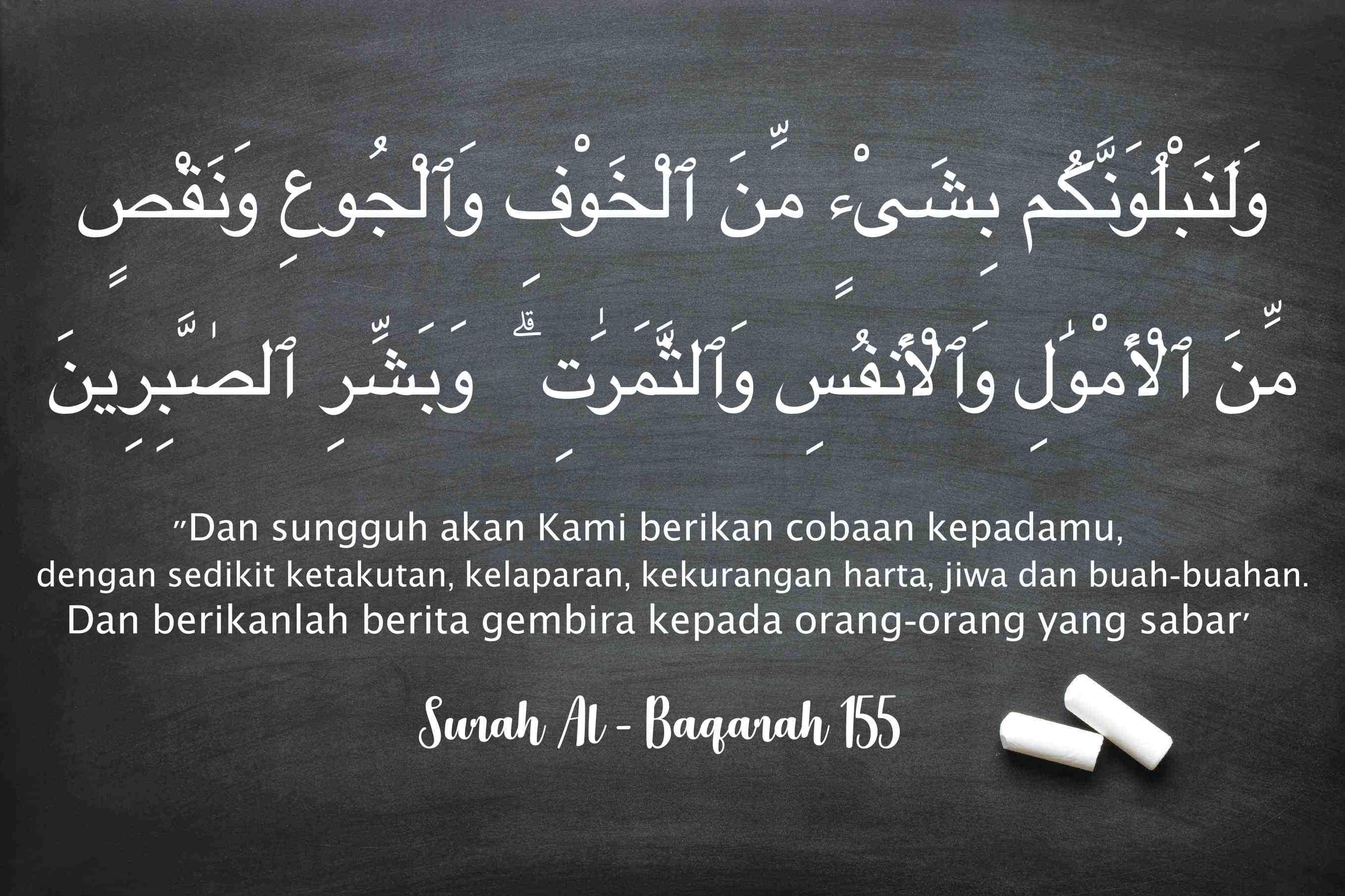 Detail Kandungan Surat Al Baqarah Nomer 12