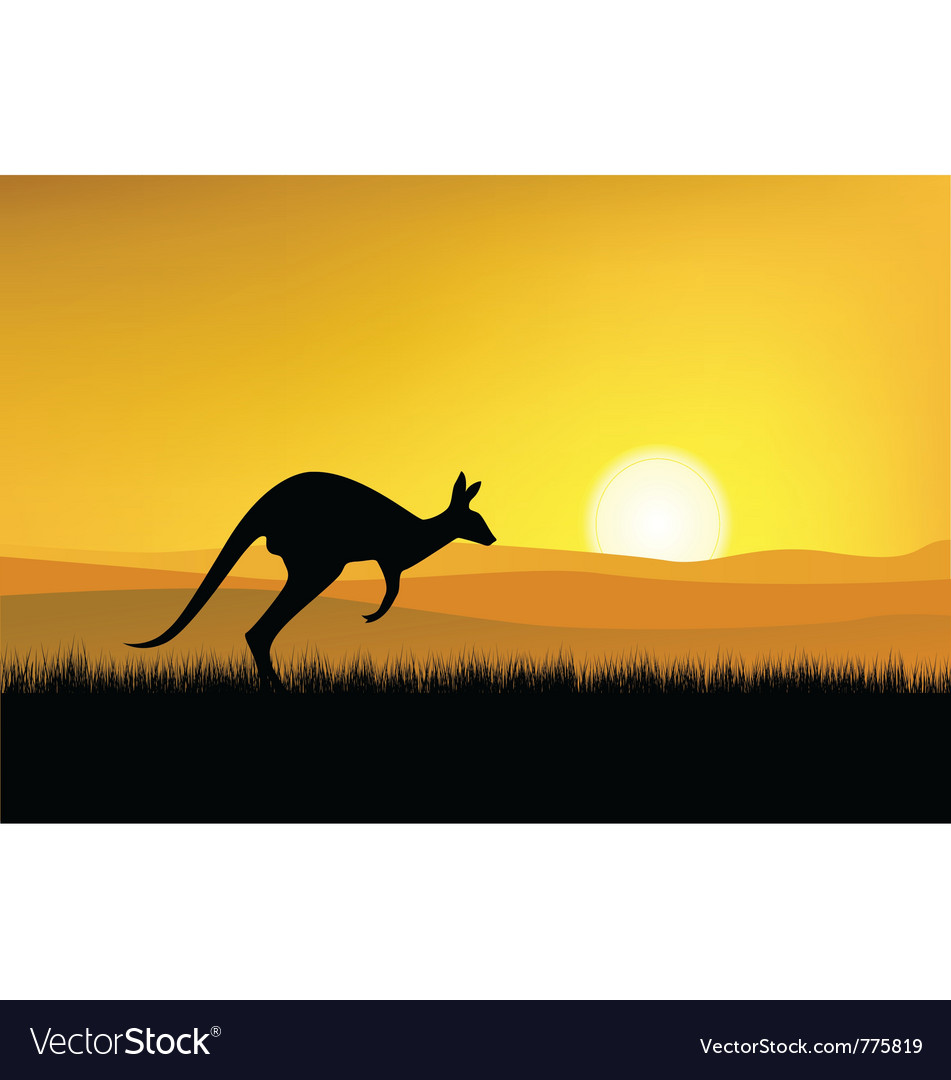 Detail Kangaroo Background Nomer 13
