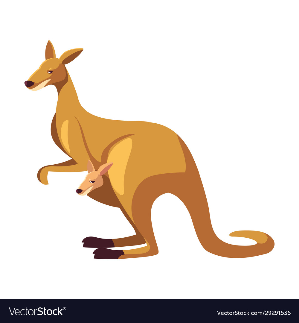 Detail Kangaroo Background Nomer 17