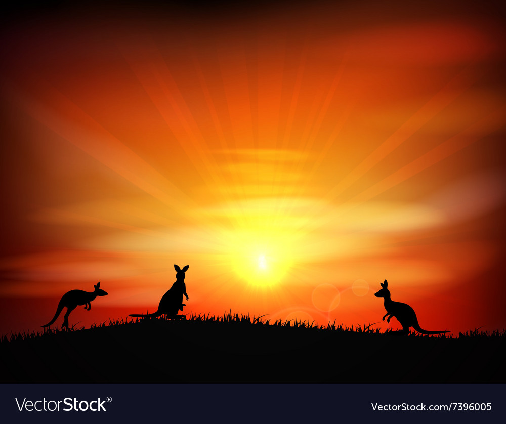 Detail Kangaroo Background Nomer 20