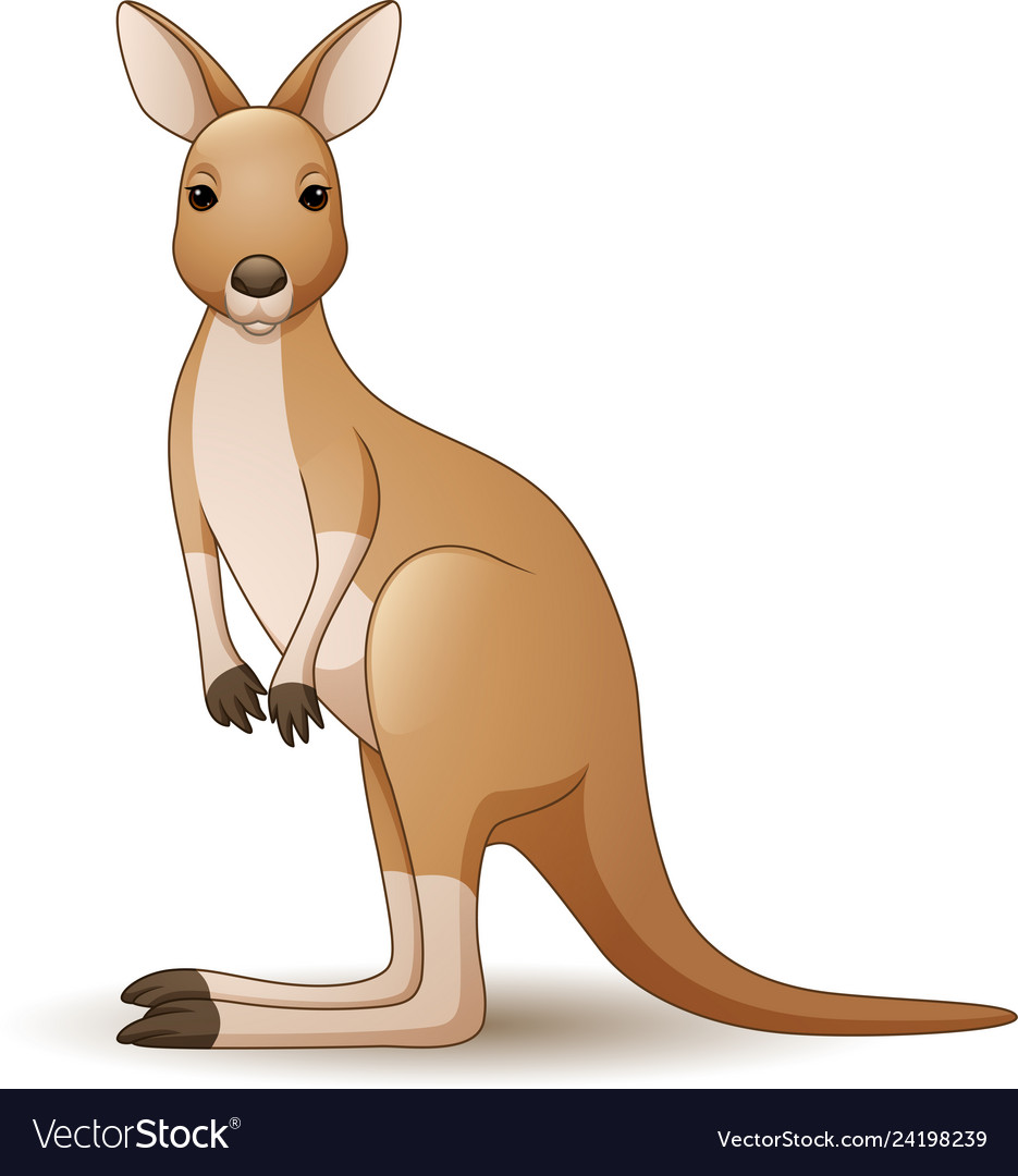 Detail Kangaroo Background Nomer 26