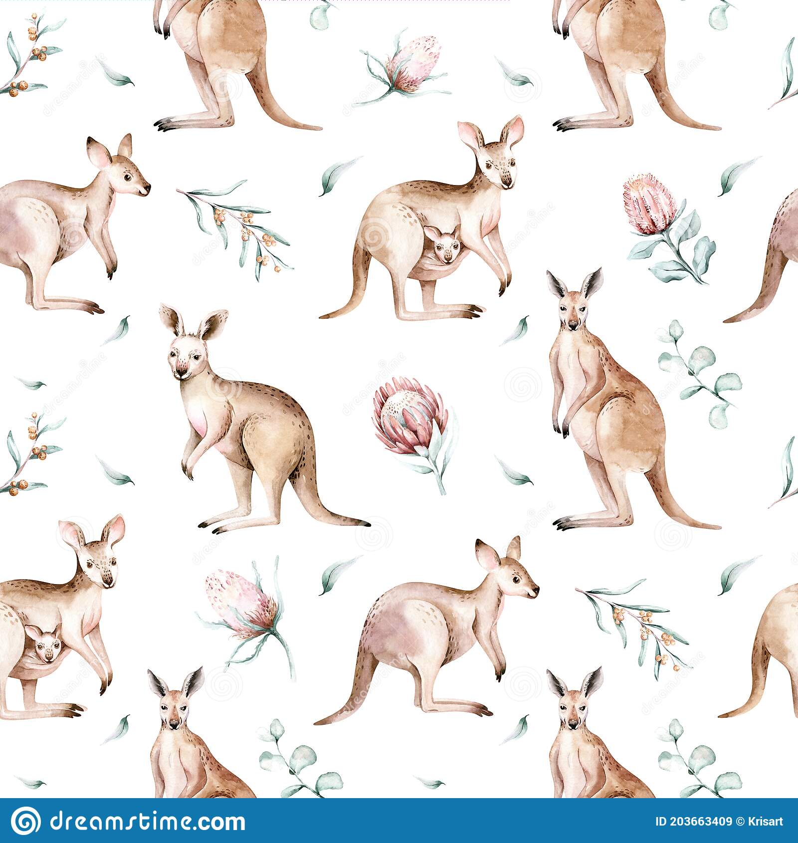 Detail Kangaroo Background Nomer 47