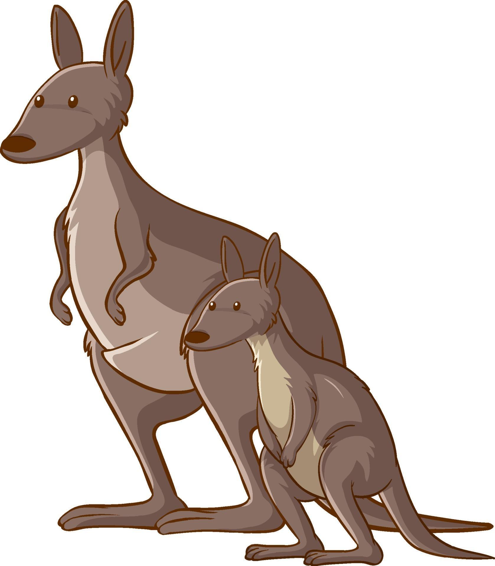 Detail Kangaroo Background Nomer 53