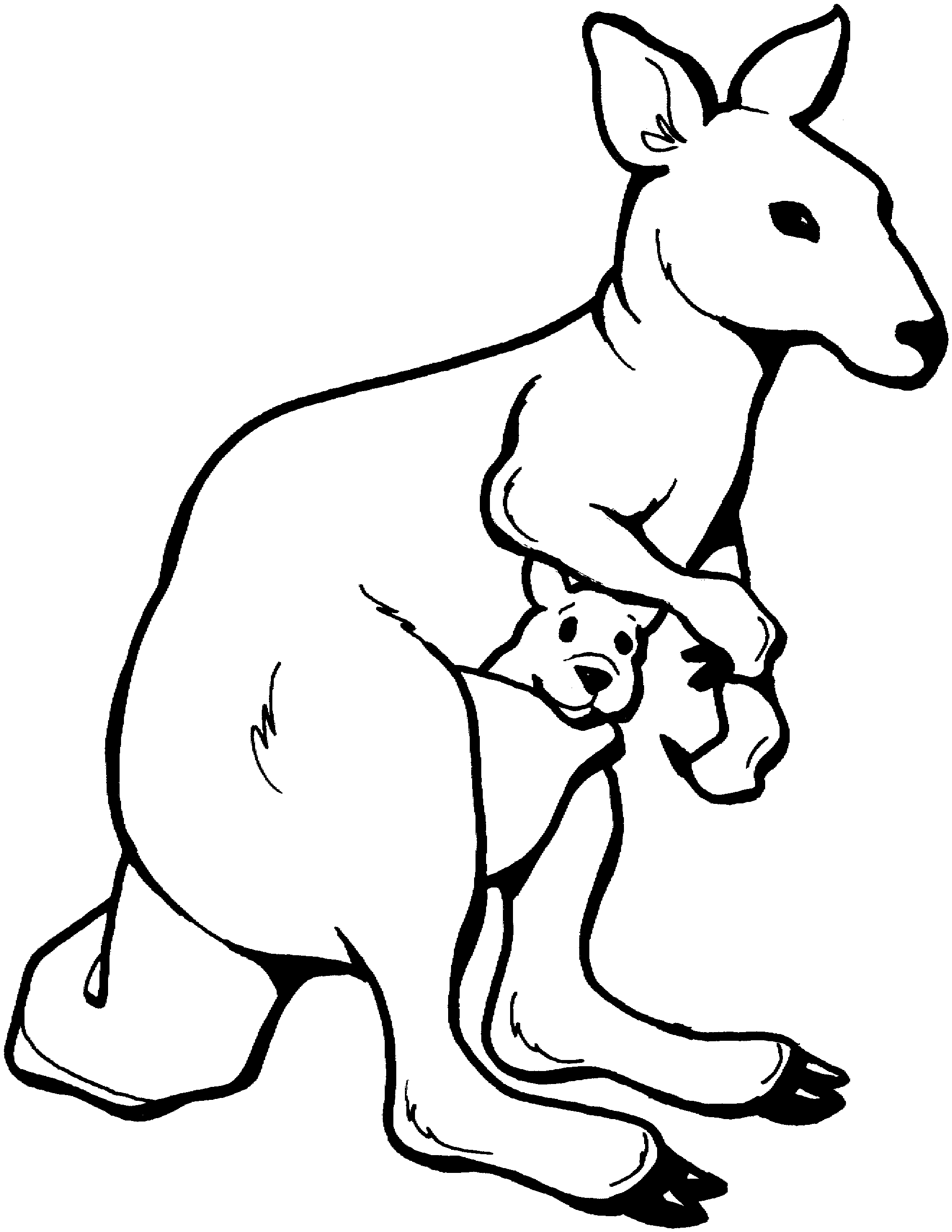 Kangaroo Clipart Black And White - KibrisPDR