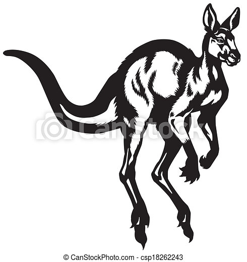 Detail Kangaroo Clipart Black And White Nomer 23