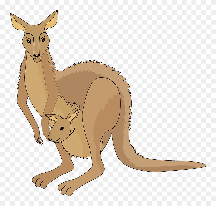 Detail Kangaroo Clipart Png Nomer 45