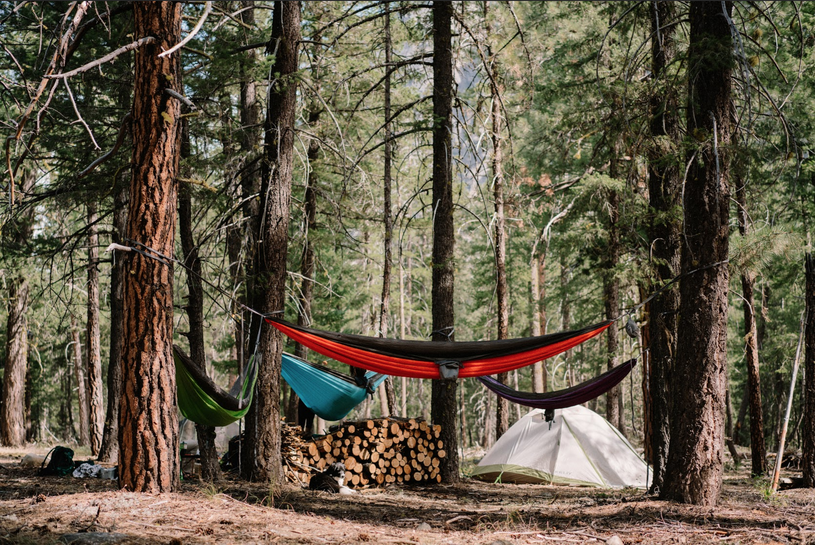 Detail Kangaroo Hammock Nomer 35