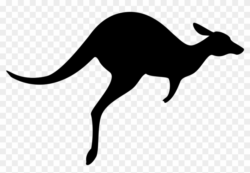 Detail Kangaroo No Background Nomer 35