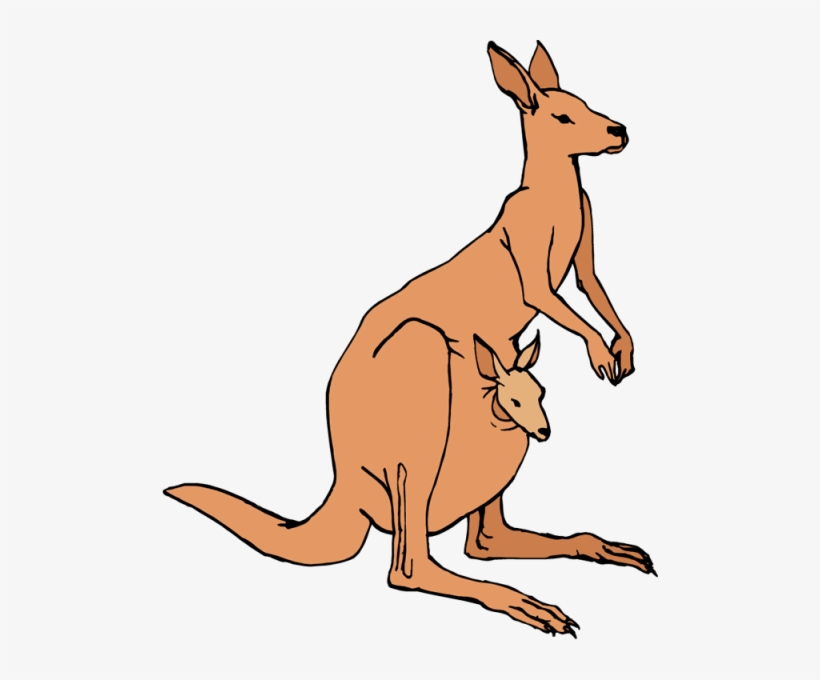 Detail Kangaroo Transparent Background Nomer 25