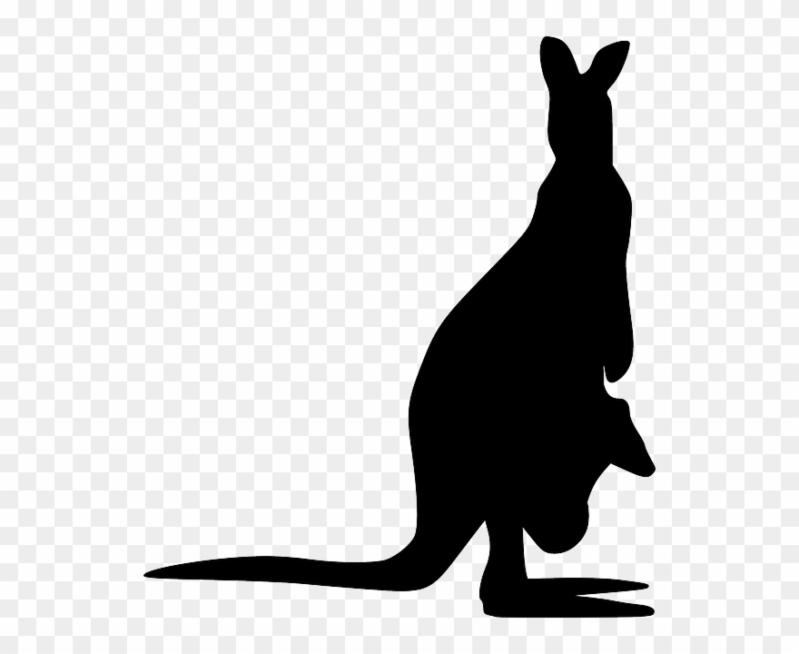 Detail Kangaroo Transparent Background Nomer 44