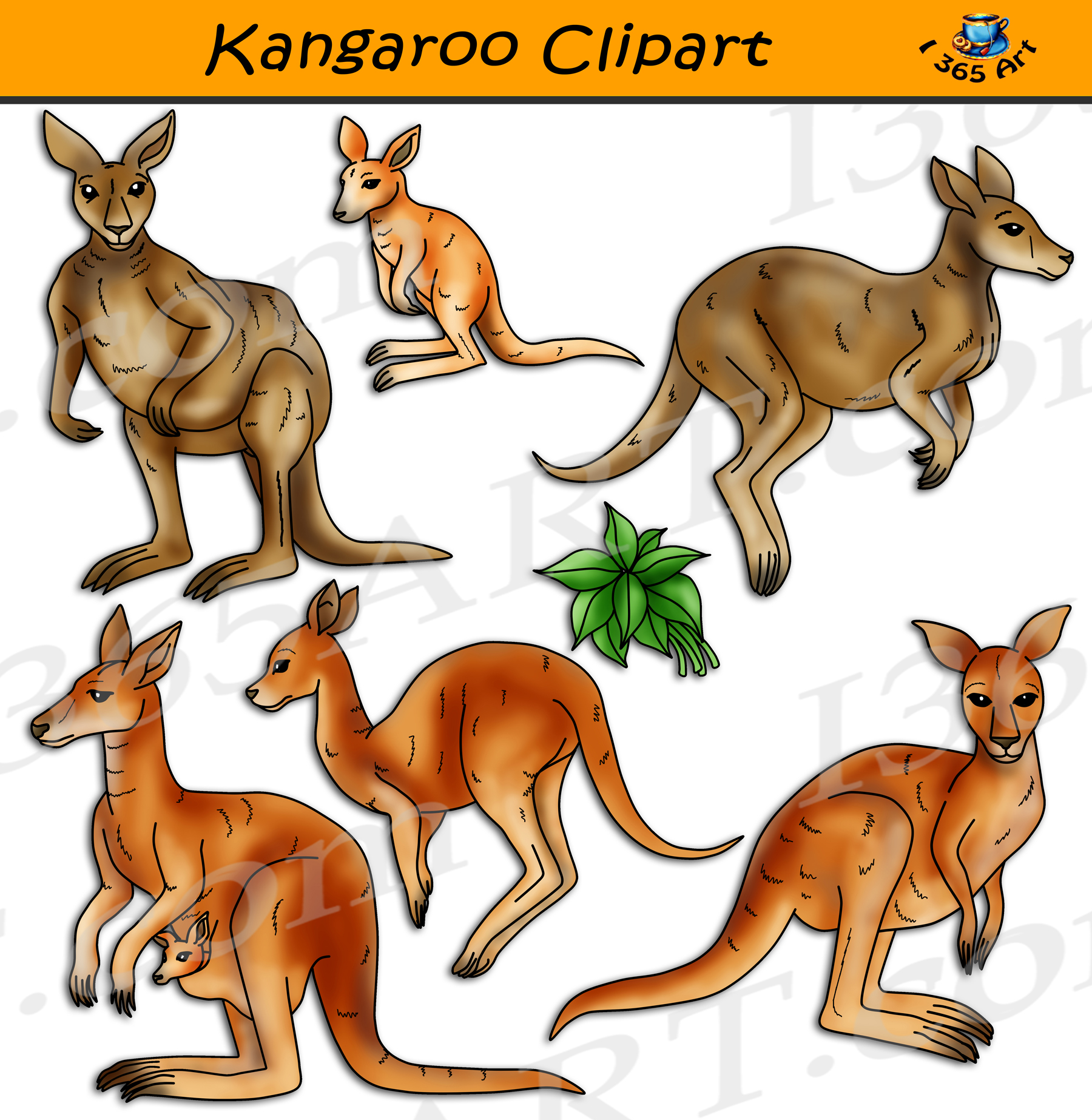 Detail Kangaroos Clipart Nomer 10