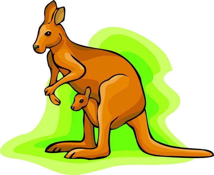 Detail Kangaroos Clipart Nomer 19