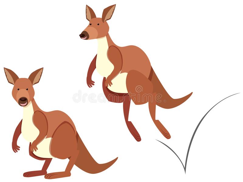 Detail Kangaroos Clipart Nomer 22