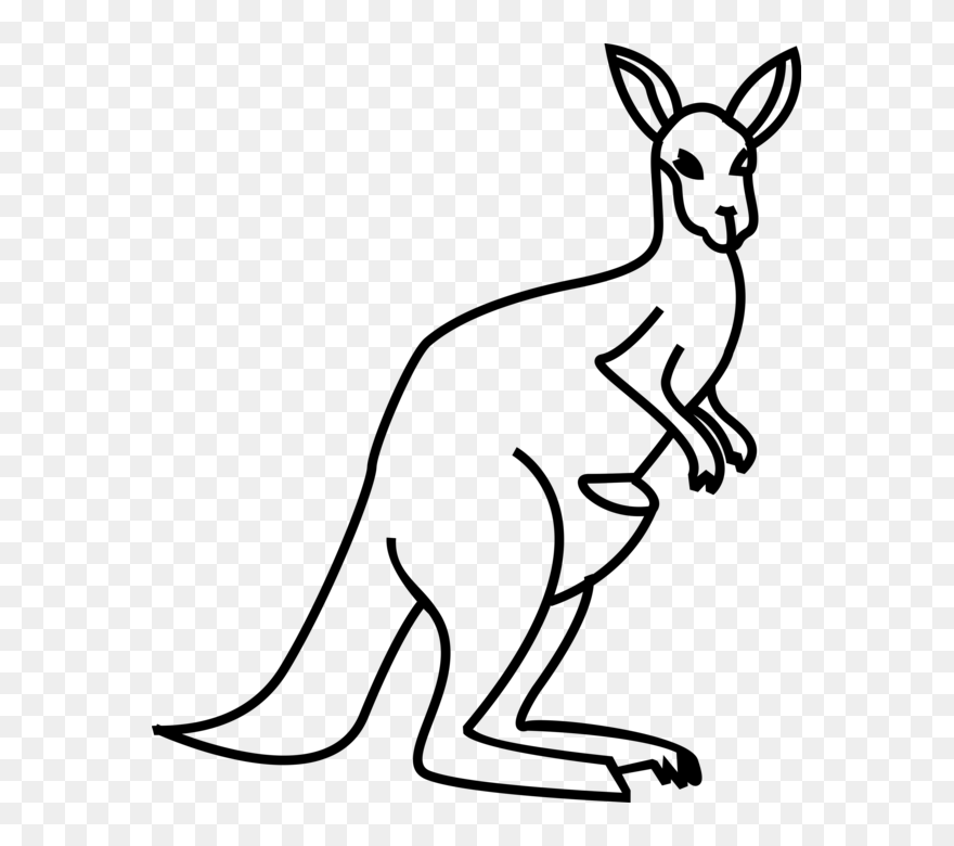 Detail Kangaroos Clipart Nomer 32